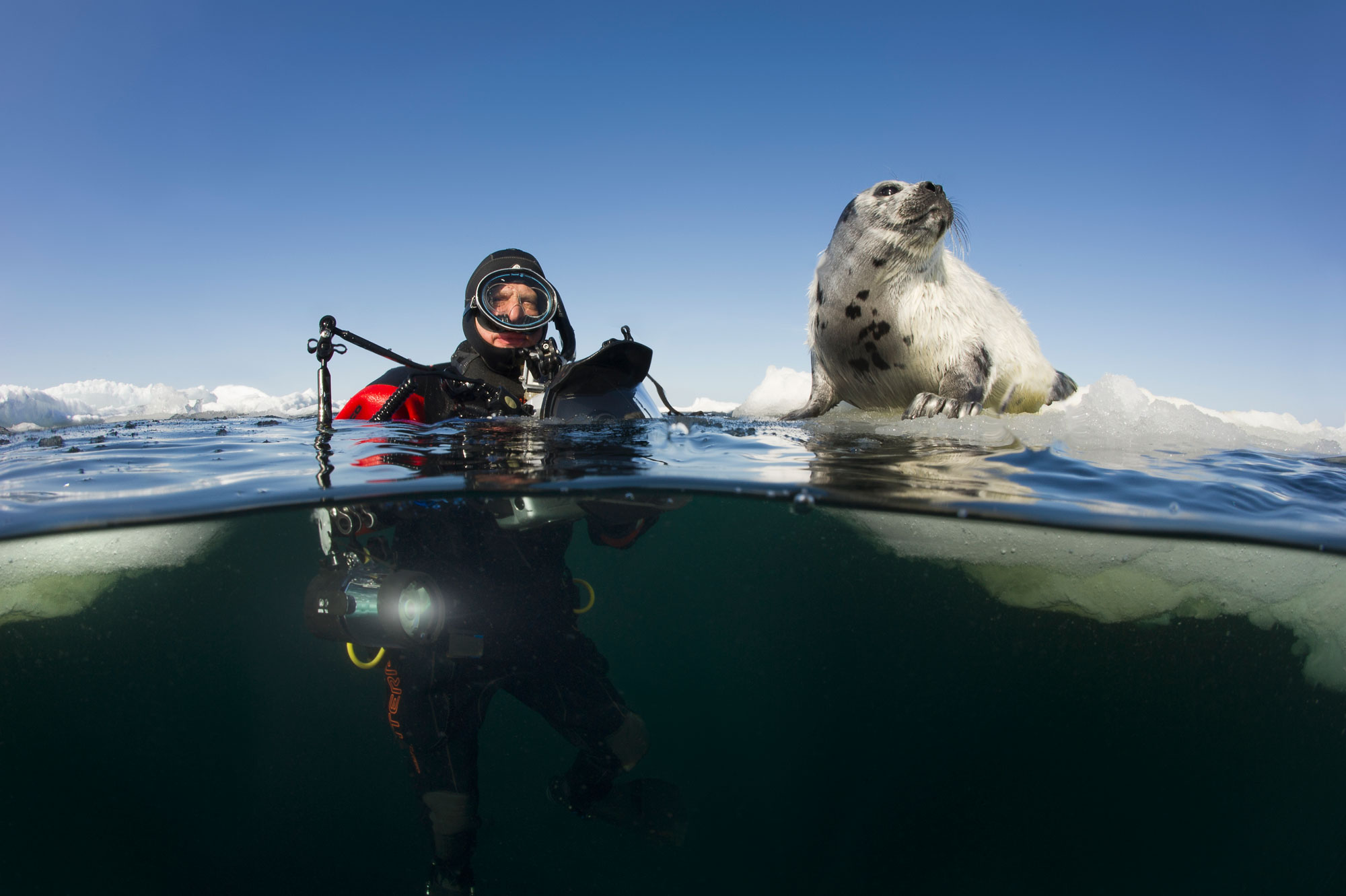 Jennifer Hayes | Underwater Tour