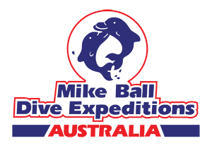 Mike-Ball-Logo-Transparent_300x200px