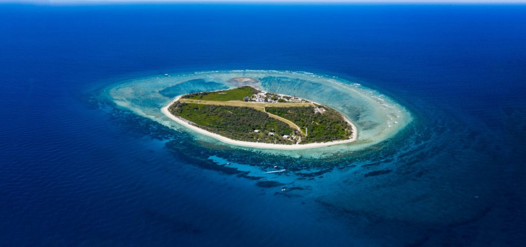 Lady Elliot Island
