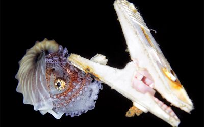 Who’s YOUR Eco Hero?