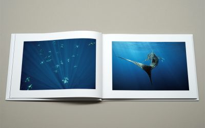 Photographic Treasure Chest