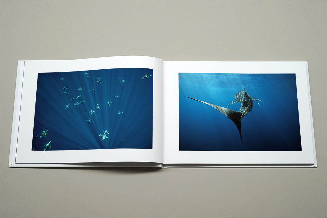 Darren Jew book spread