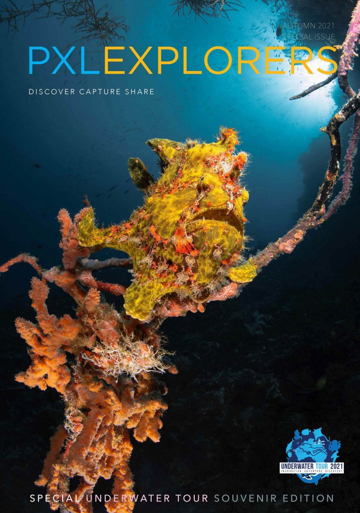 2021_autumn_V03_Page_01