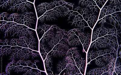 Aquatic Abstract Winner, The Guru Awards 2021