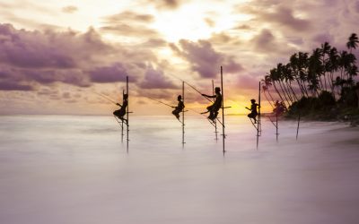 Topside Category Winner, Guru Awards 2021